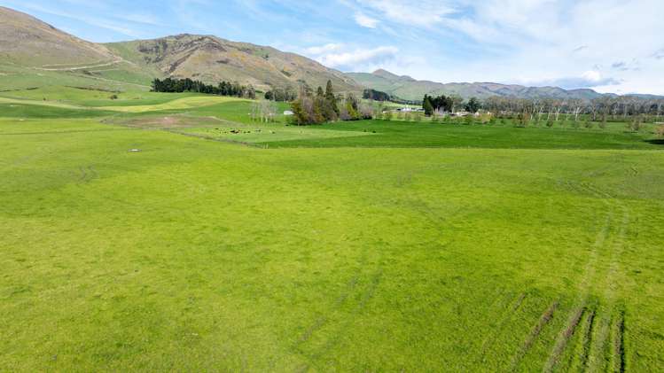 1317 Waimea Valley Road Nine Mile_7