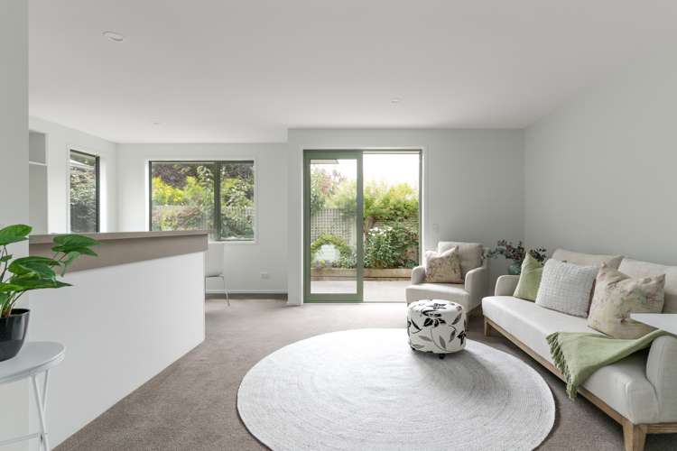 3/8 Hillsborough Terrace Hillsborough_4