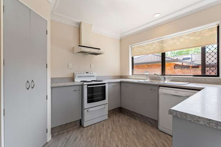 8b Norris Street Tauranga Central_9