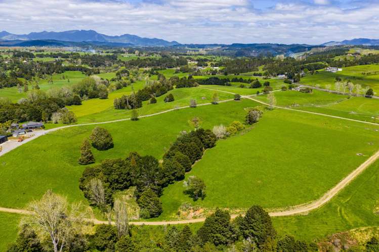 Mangakahia Road Titoki_32