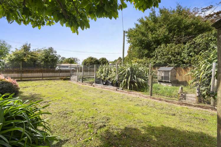 33 Daniell Street Bulls_25