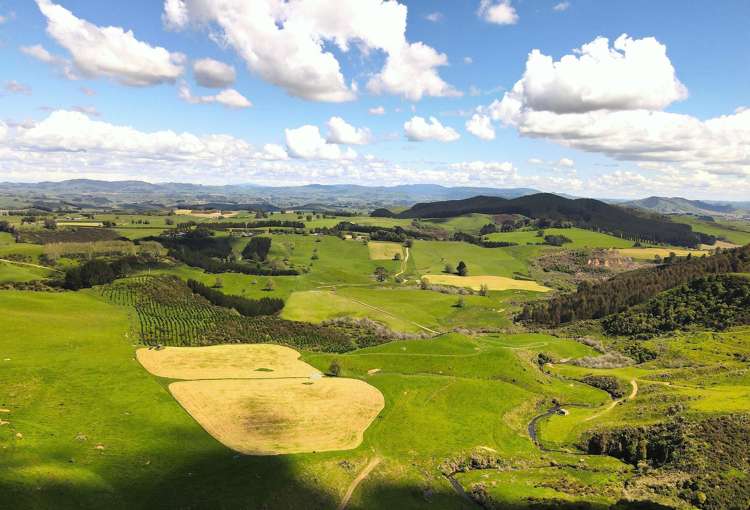 1/1745 Arapuni Road Parawera_12