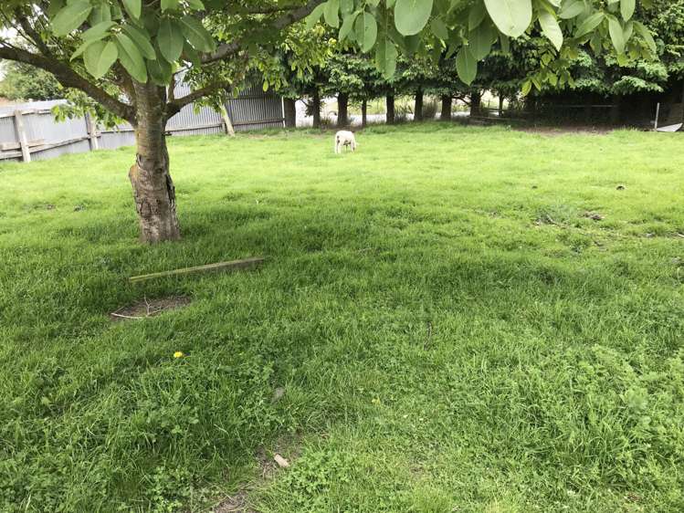 146 Springfield Road Milton_12