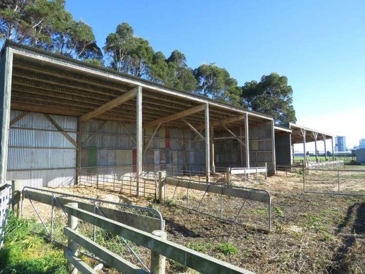 110 Donehue Road Clandeboye_7