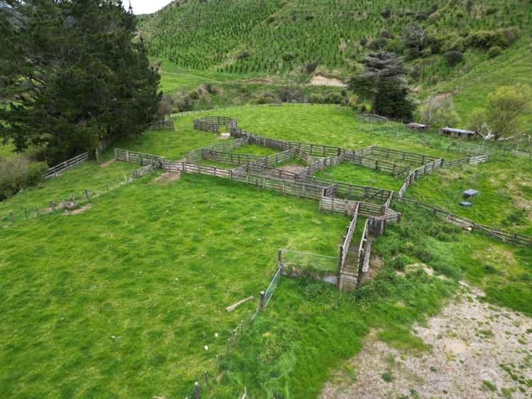 2560 Rawhitiroa Road Eltham_6