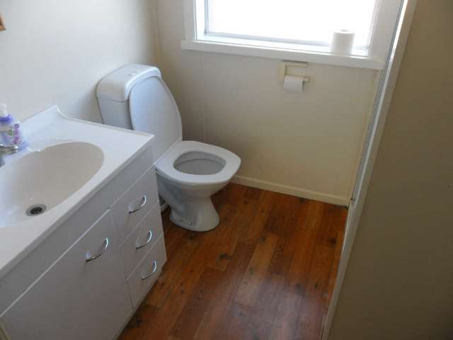 171 Dundas Street North Dunedin_1