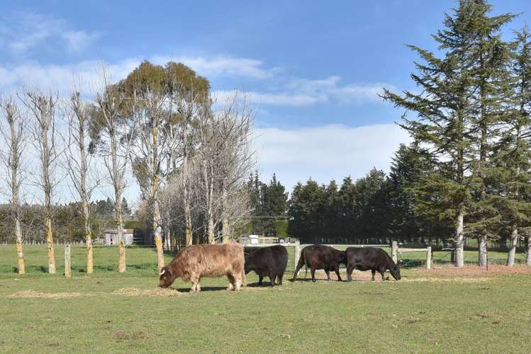 307 Amberley Beach Road Amberley_2