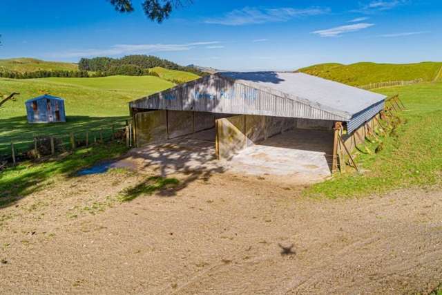 134 Bowen Road Eketahuna_4