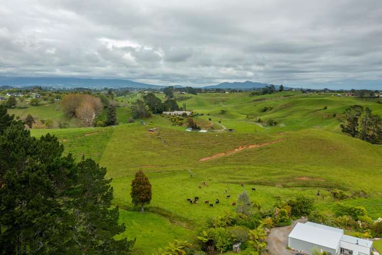 79 Dorset Road Hillsborough_34