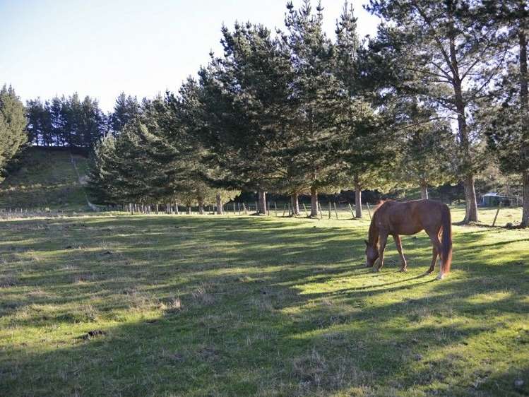 274 Hinakura Road Martinborough_5