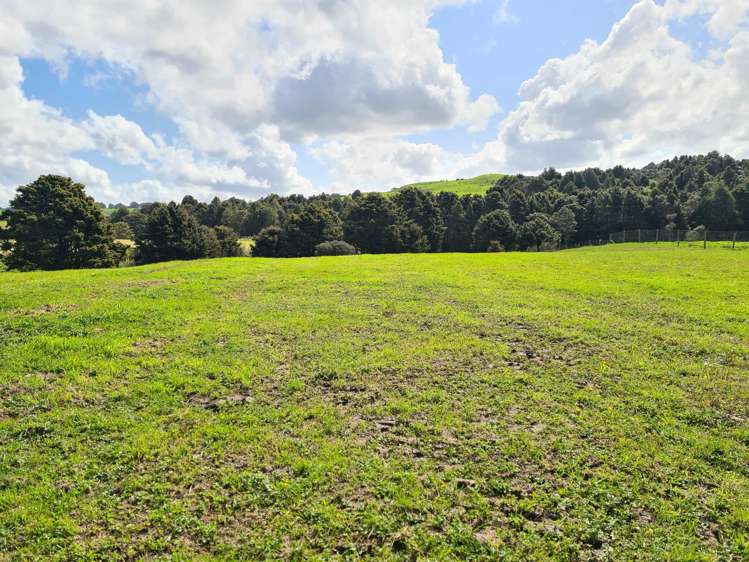 Dodd Road Maungaturoto_29