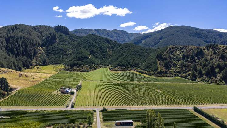 1224 Kaituna-Tuamarina Road Kaituna_25