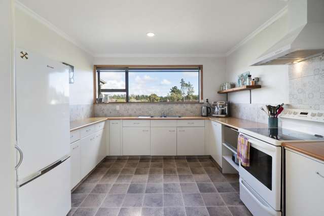 363 Brandon Hall Road Bulls_4