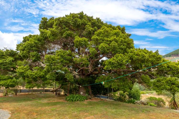 264 Wakamarina Road Havelock_7