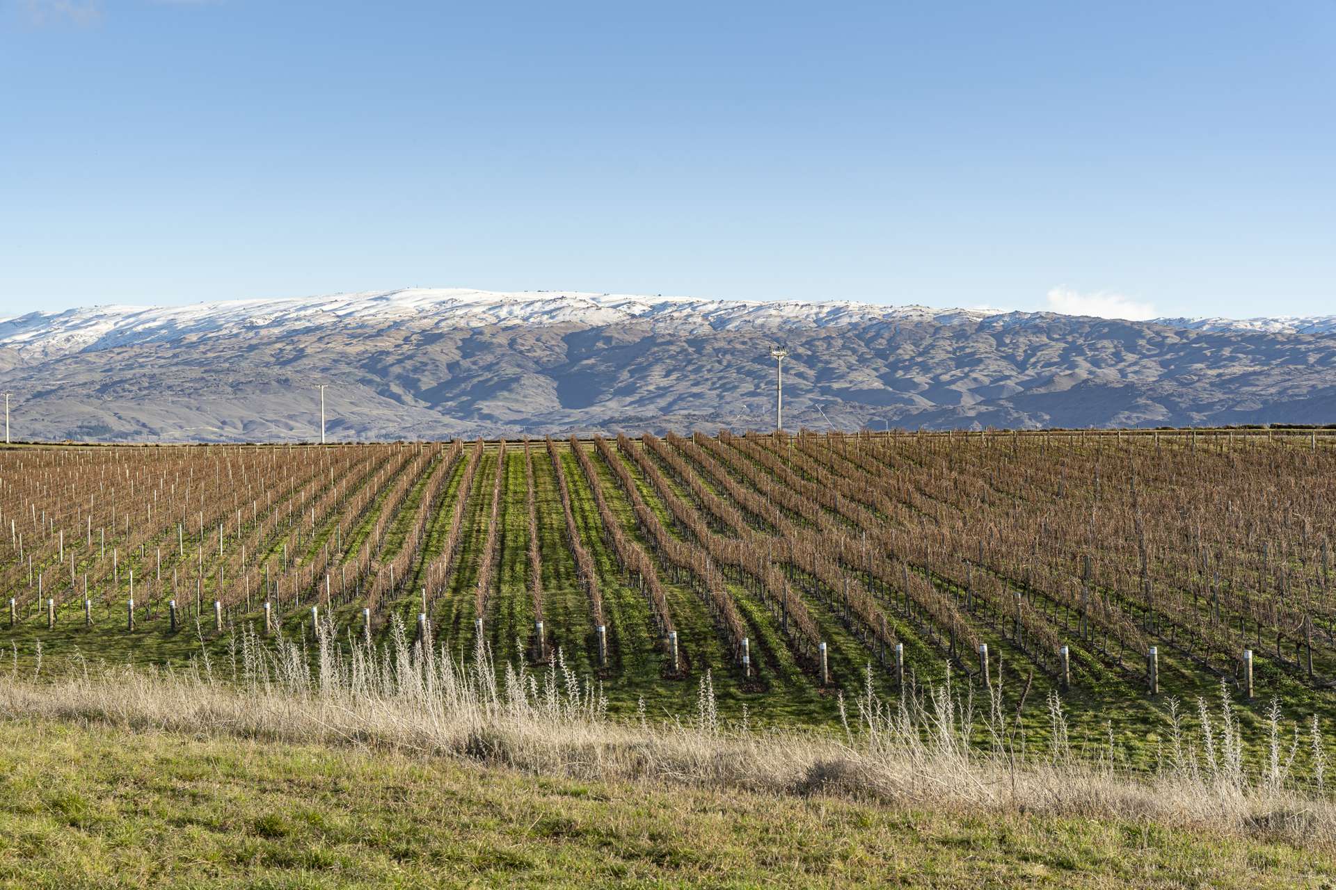 Lot 107 McArthur Road, Mount Dunstan Estate Alexandra_0