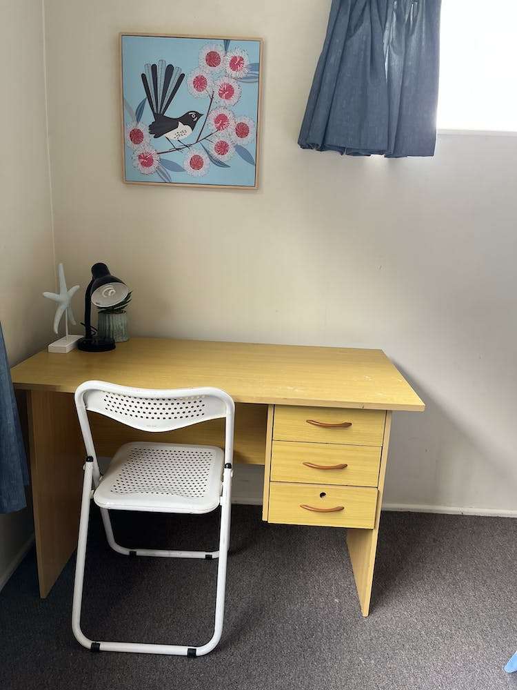 3 Serpentine Avenue Dunedin Central_12