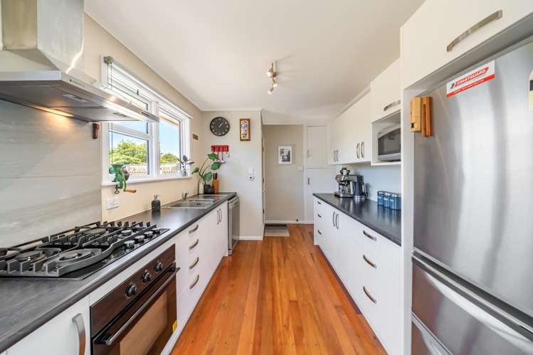 45 Black Beech Street Birchville_8