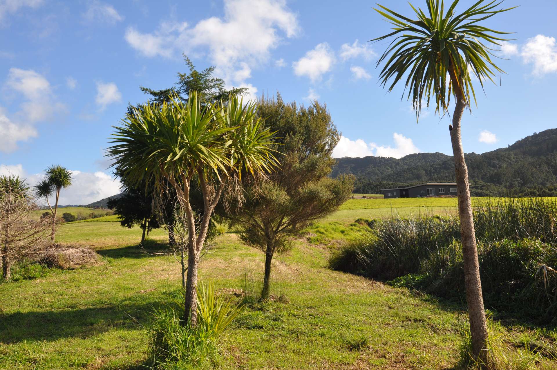 48 Robert Hastie Drive Mangawhai_0