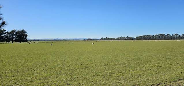 621 Josephville Glenure Road Winton Surrounds_2