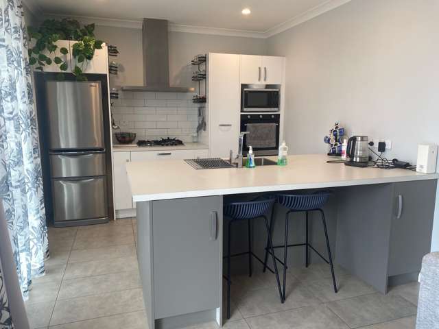 111 Thomson Street Tinwald_1