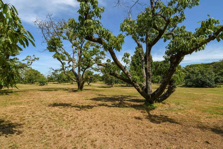 380b Matahui Road Aongatete_18