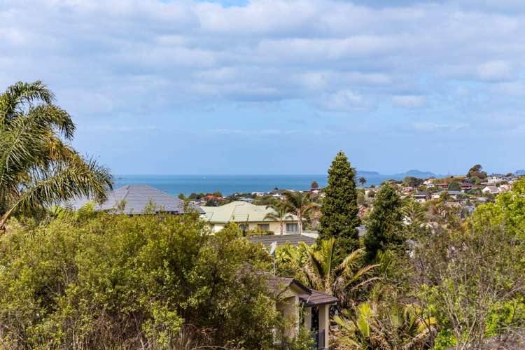 693a East Coast Road Browns Bay_17