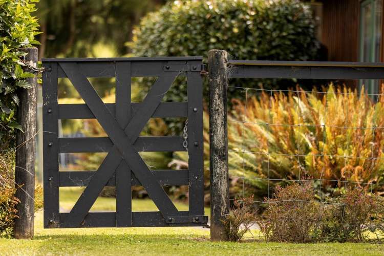 48 Sinclair Road Whakamarama_21