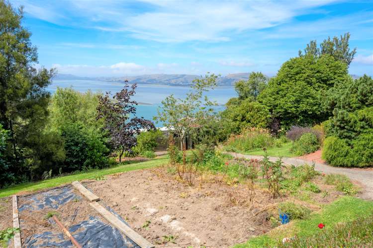 190 Blueskin Road Careys Bay_26