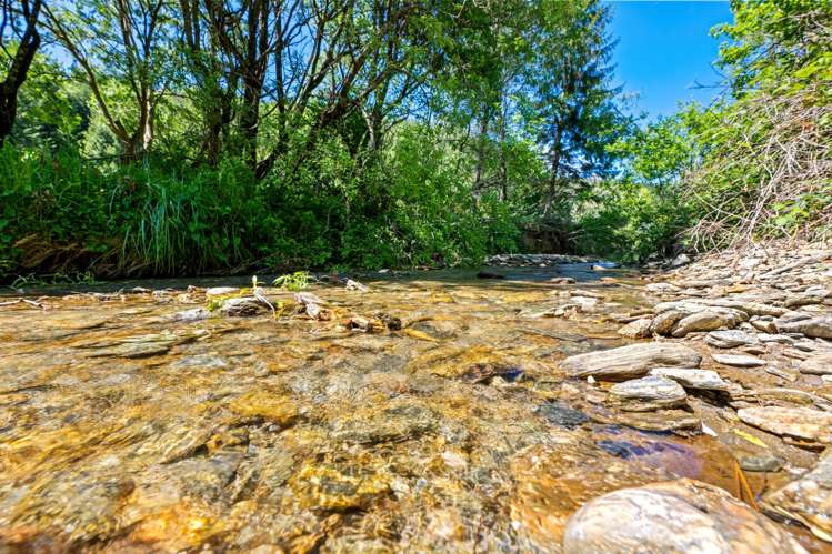 1005 Onamalutu Road Onamalutu_31