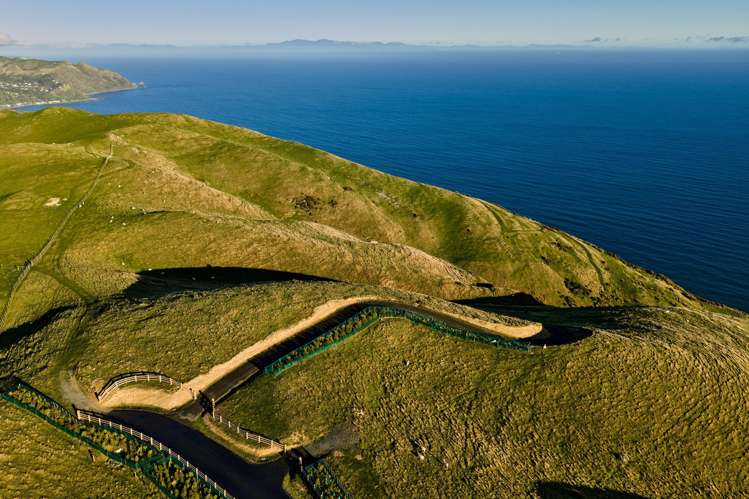 Lot 2,3 and 5/1275 Paekakariki Hill Road Paekakariki Hill_6