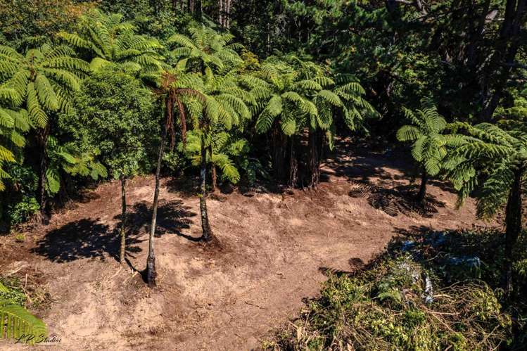 Te Paki Road Shannon_6