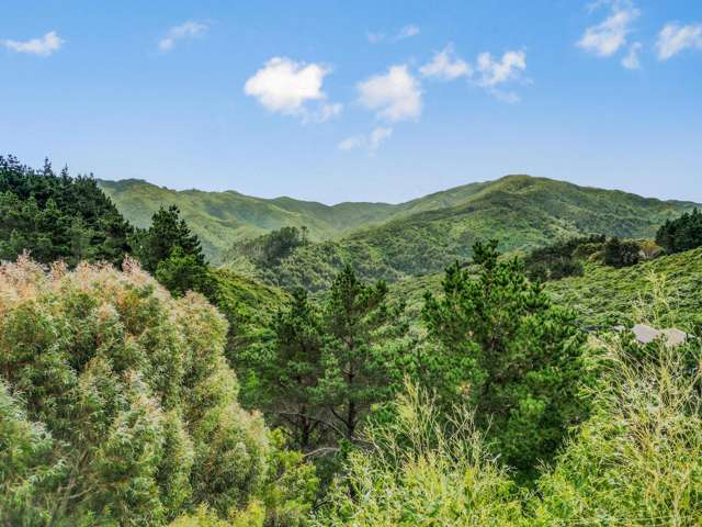 163a Maungaraki Road Korokoro_4