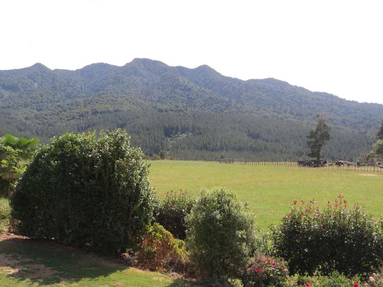 471 Sainsbury Road Pirongia_22