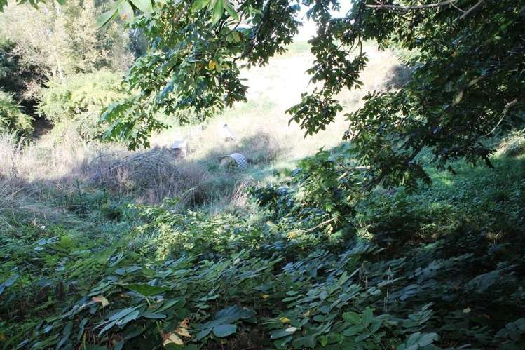 9 Ruru Crescent Putaruru_16