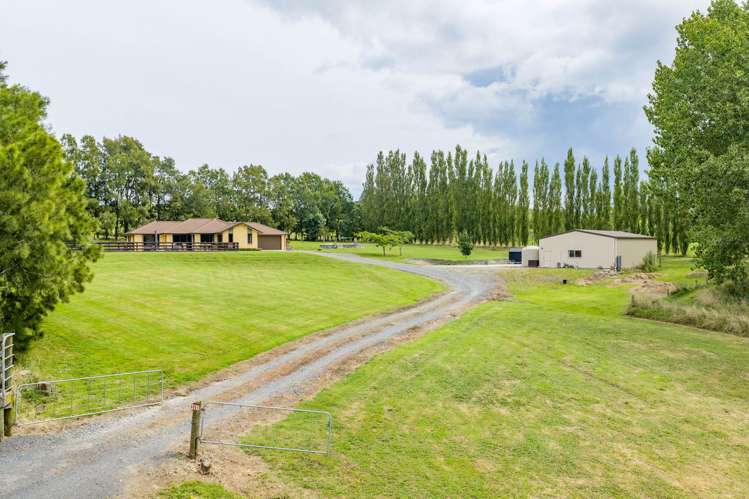 680H Quine Road Morrinsville_33