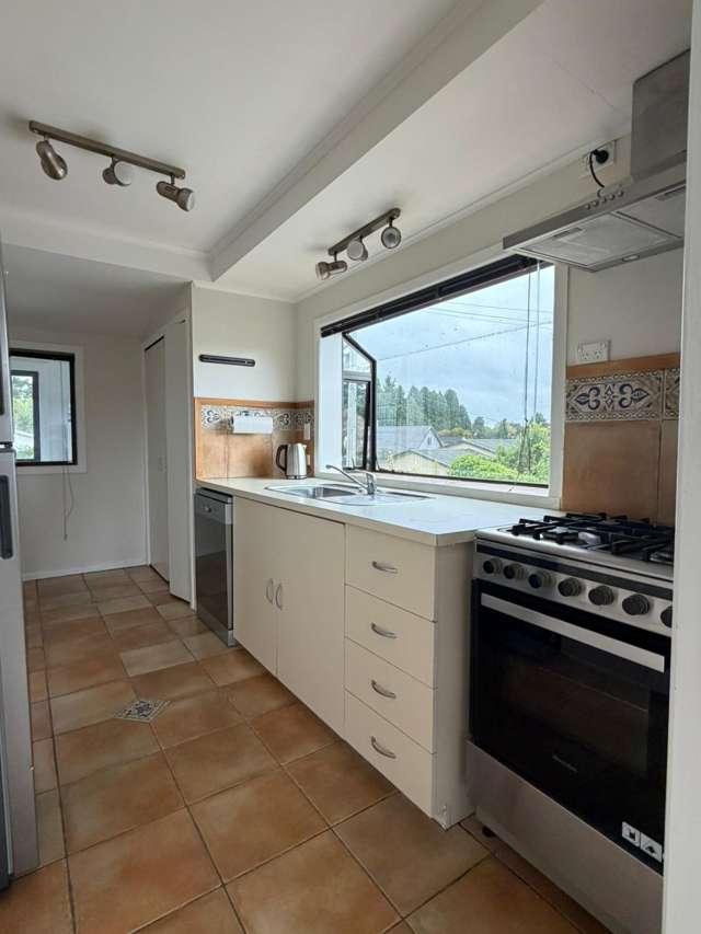 20 Nikau Street Springfield_1