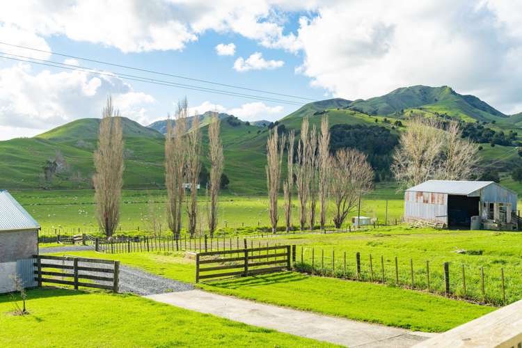 76 Driver Road Dargaville Surrounds_18