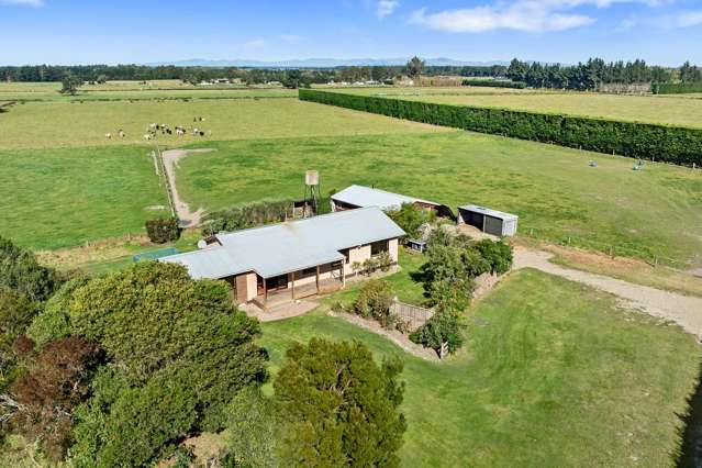 221 Smiths Road Leithfield_1
