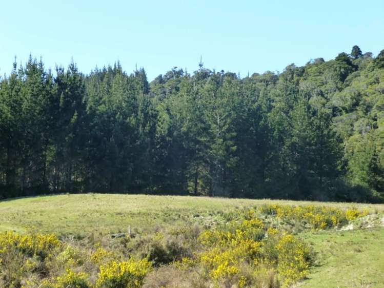 979 Marsden Road Marsden_3