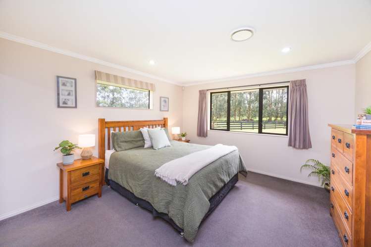 38B Grove Road Hiwinui_12