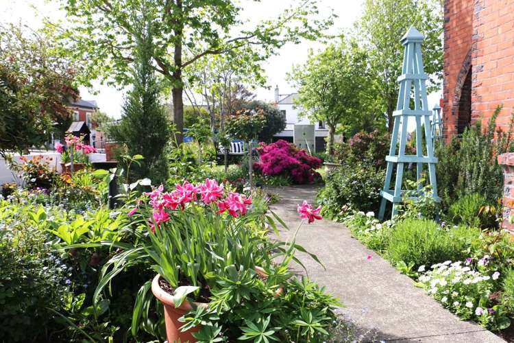 2 Hart Street Maori Hill_4