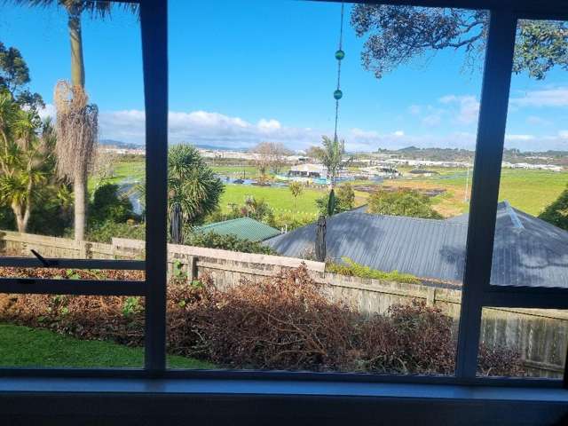 18 Tanekaha Drive Parihaka_1
