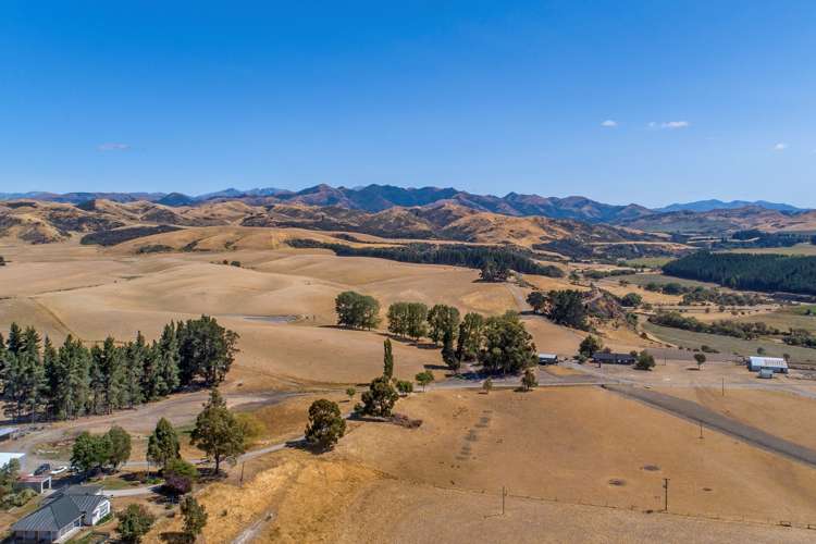 175 Mendip Road Cheviot_0