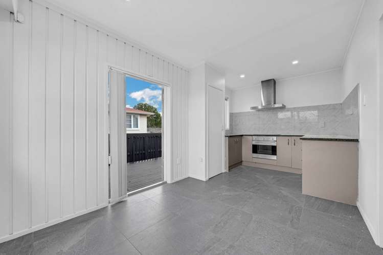 19 Ribblesdale Raod Henderson_7