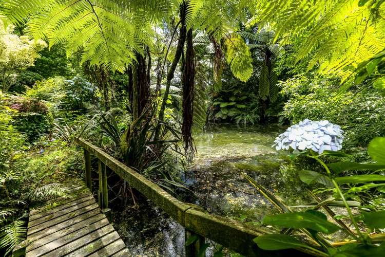 574 Otaraoa Road Tikorangi_23