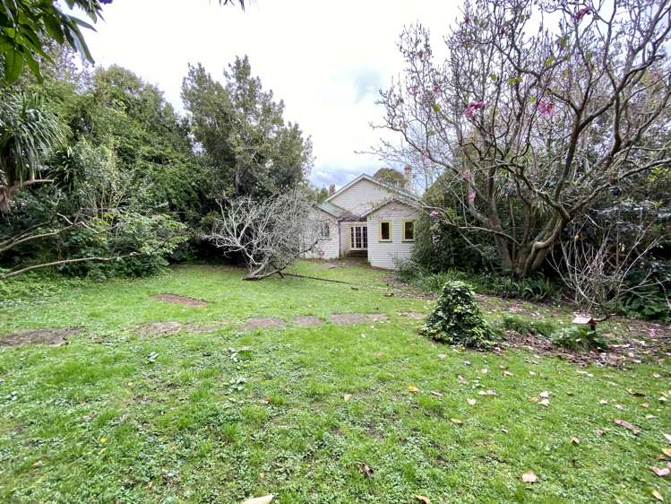 48 Dexter Avenue Mount Eden_10