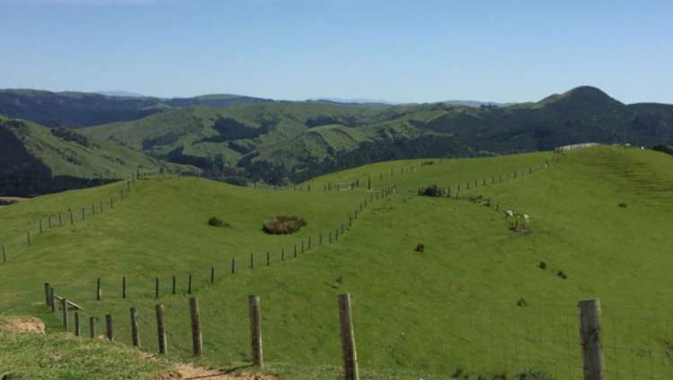 460 Tora Road Tora_16