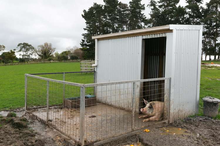 458 Awahuri Road Awahuri_31