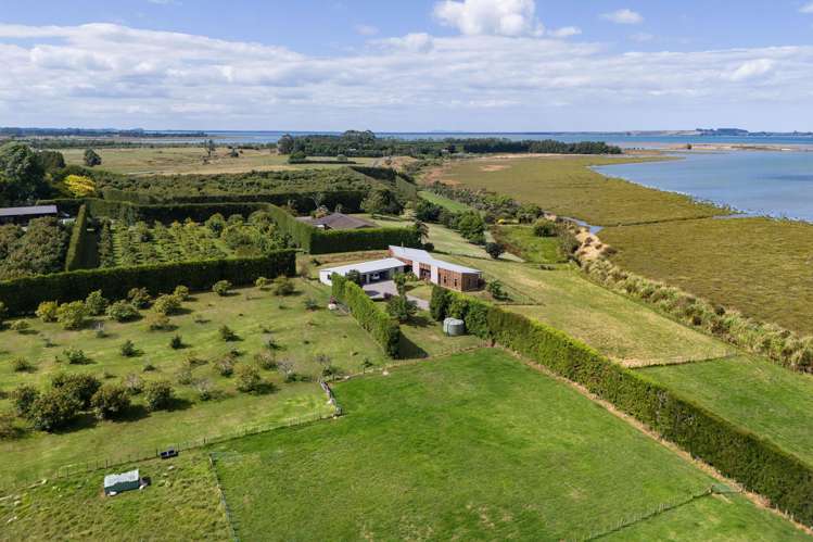 78a Prestidge Road Aongatete_23