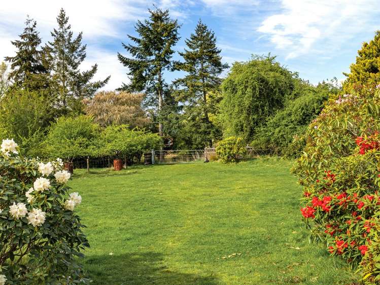 287 Waikouaiti-Waitati Road Evansdale_9